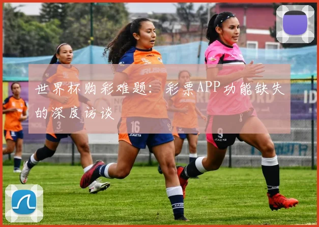 世界杯购彩难题：彩票APP功能缺失的深度访谈