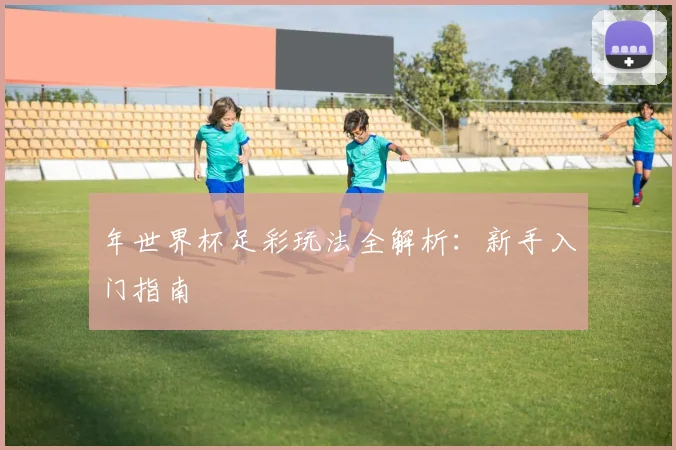 年世界杯足彩玩法全解析：新手入门指南