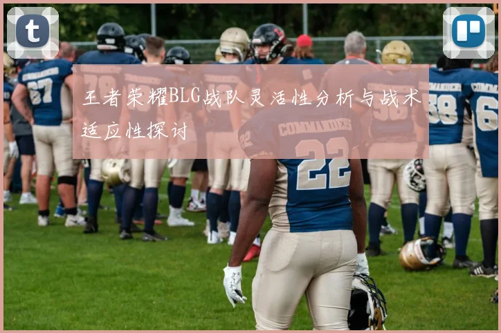王者荣耀BLG战队灵活性分析与战术适应性探讨