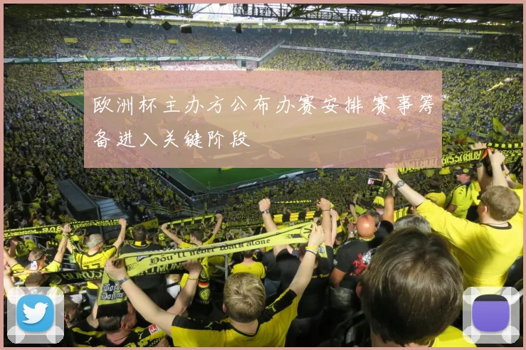 欧洲杯主办方公布办赛安排 赛事筹备进入关键阶段