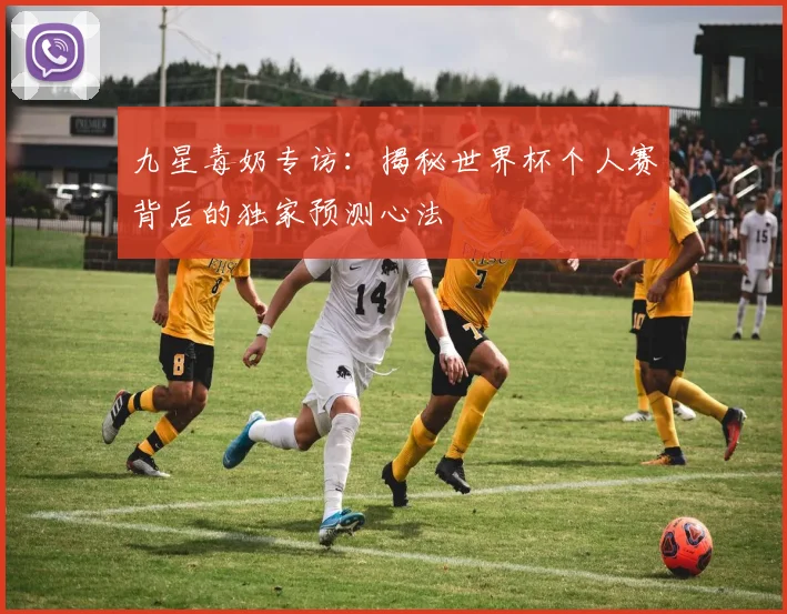 九星毒奶专访：揭秘世界杯个人赛背后的独家预测心法