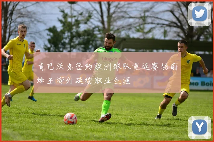 肯巴沃克签约欧洲球队重返赛场前蜂王海外延续职业生涯