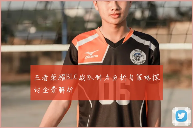 王者荣耀BLG战队耐力分析与策略探讨全景解析